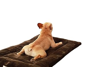 Amazon Com Townhouse Reversible Pet Pillow Crate Pad Bed