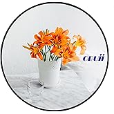 Oruii Round Mirror, Black Round Mirror 18 inch, Circle Wall Mounted Mirrors for Bathroom, Living Room, Bedroom, Vanity, Entry