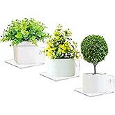 Bigfety Acrylic Small Floating Shelves for Wall, 3-Ledges, Clear Mini Display Floating Shelf Flexible Use with Adhesive or Screw