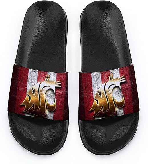 Charlotte 49ers University Slippers for Men