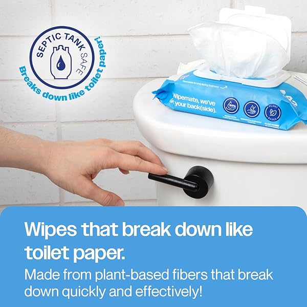 WIPEMATE ULTRA FLUSHABLE BUTT WIPES, SOOTHING VITAMIN E & ALOE, 99% WATER, COCONUT SCENT PREMIUM SUPER SOFT HYGIENE WIPES, SEPTIC & SEWER SAFE, 12 PREMIUM FLIP-TOP PACKS, 42 WIPES PER PACK 504 CT