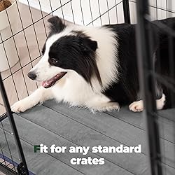 BALANCE Dog Crate Pad, Dog Foam Crate Mat Kennel
