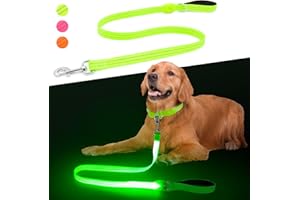 CHALKLIT LED Dog Leash, Light Up Dog Leash 4 Ft USB Rechargeable Waterproof, Nylon Reflective Leashes with Padded Handle for Dogs Night Walking Light, Safety Glow in The Dark for Large Medium Pets (Green)