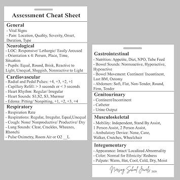 Amazon Com Nursing Assessment Cheat Sheet Badge Buddy Office Products