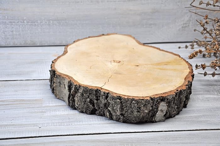 29cm Tranche De Bouleau Rondelle De Bois Rondin De Bois Ronds Bois