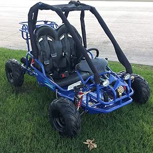 seater road powered teen kart gas cart pre unavailable ride