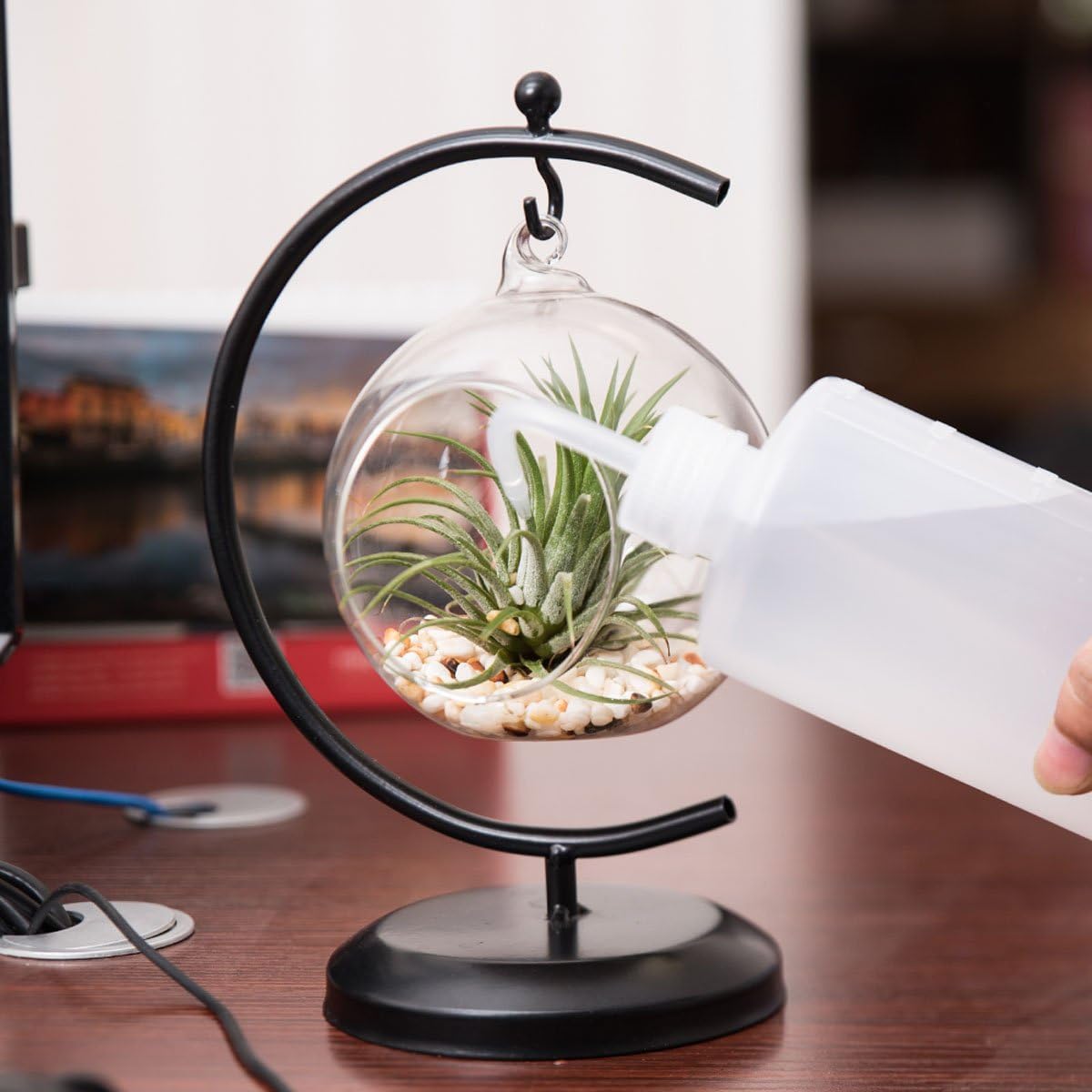 AUTOARK Glass Vase Plant Terrarium with Black Metal Stand,Ornament Display Stand,Office Desktop Potted Stand,Home & Office Decor Accent,1 Globe,APT-001: Garden & Outdoor