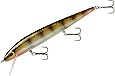 Smithwick Lures Perfect 10 Rogue Fishing Lure