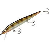 Smithwick Lures Perfect 10 Rogue Fishing Lure