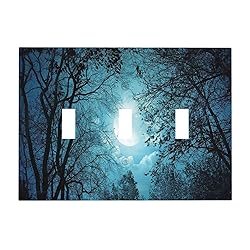 Spshian Light Switch Cover Teal Full Moon Forest 3