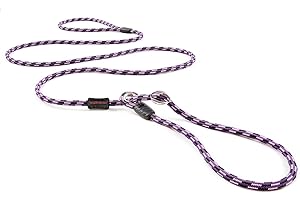 EzyDog Luca All-in-One Slip Collar Climbing Rope Dog Leash Combo - Best Dog Lead for Control, Training, Correction, and Exercising - Perfect for Small Dogs (Lite, Purple)