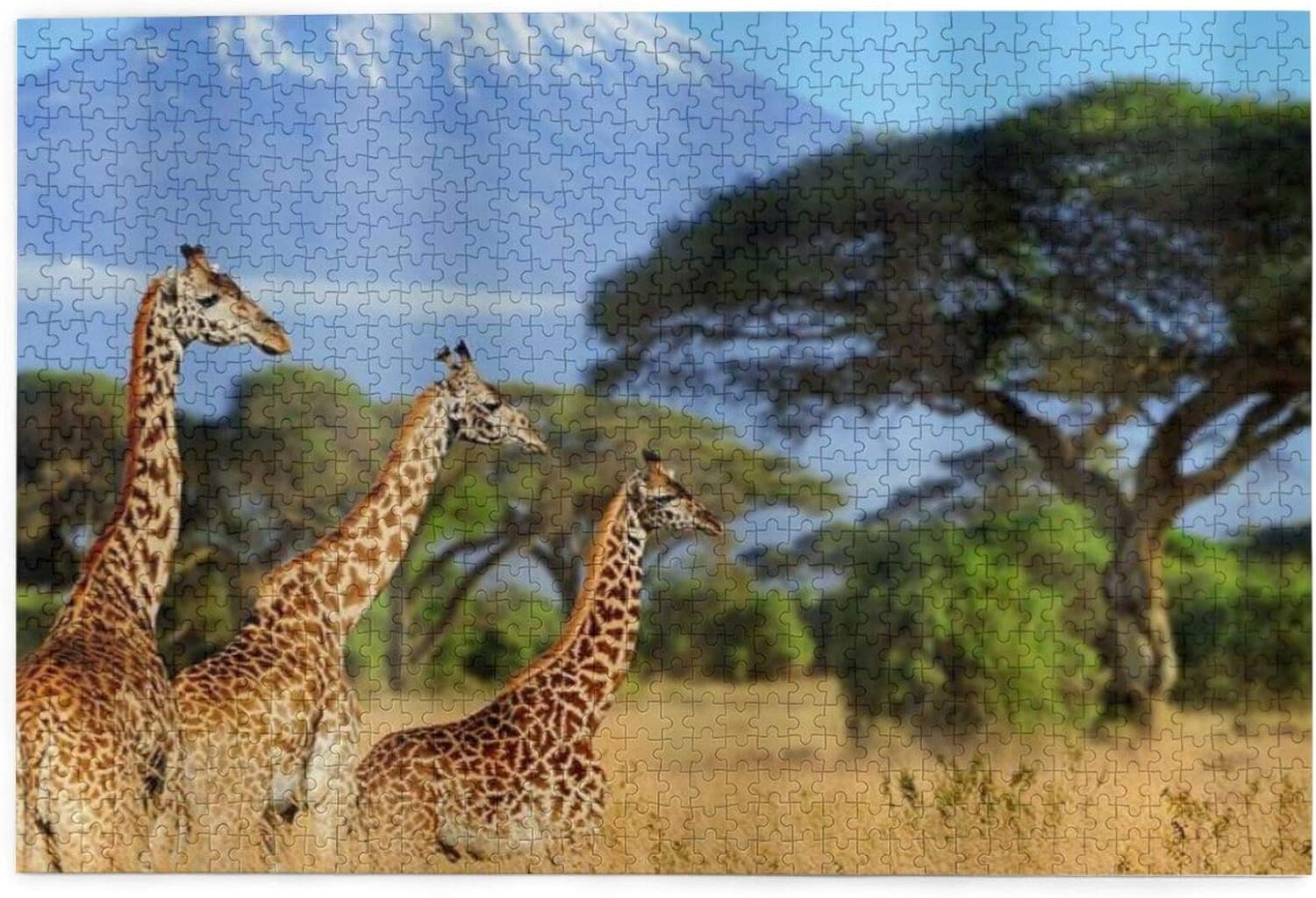 Popsastaresa Jigsaw Puzzles 1000 Pieces,National Park Of Kenya Africa