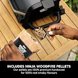 Ninja Woodfire Electric BBQ Grill & Smoker 7 in 1 Outdoor Grill Air Fryer view 9