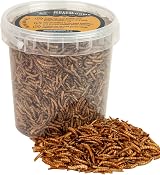 Walter’s Meal Worms 1L Tub - Dried Mealworms for Birds, Premium Protein view 7