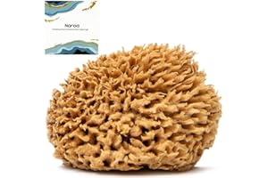 Naroa Soft Natural Sea Sponge | Gentle Loofah for Bathing Smooth Skin | Unbleached Shower Body Scrubber Puff | Bath & Spa (Medium)