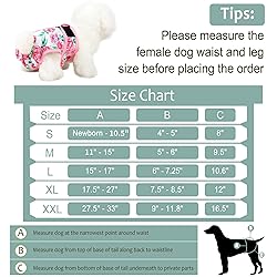 Grecle Washable Female Dog Diapers - Premium