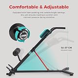 Sunny Health & Fitness Hyperextension Roman Chair with Dip Station Black view 5