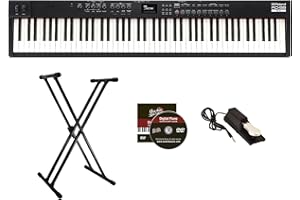 Roland RD-88EX Professional 88-Key Stage Piano - Black Bundle with Adjustable Stand, Sustain Pedal, Online Piano Lessons, and Austin Bazaar Instructional DVD