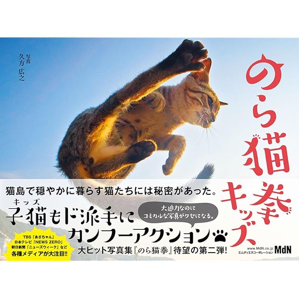 のらねこ 2025猫カレンダー のら ([カレンダー]) | 岩合光昭 |本 | 通販 | Amazon