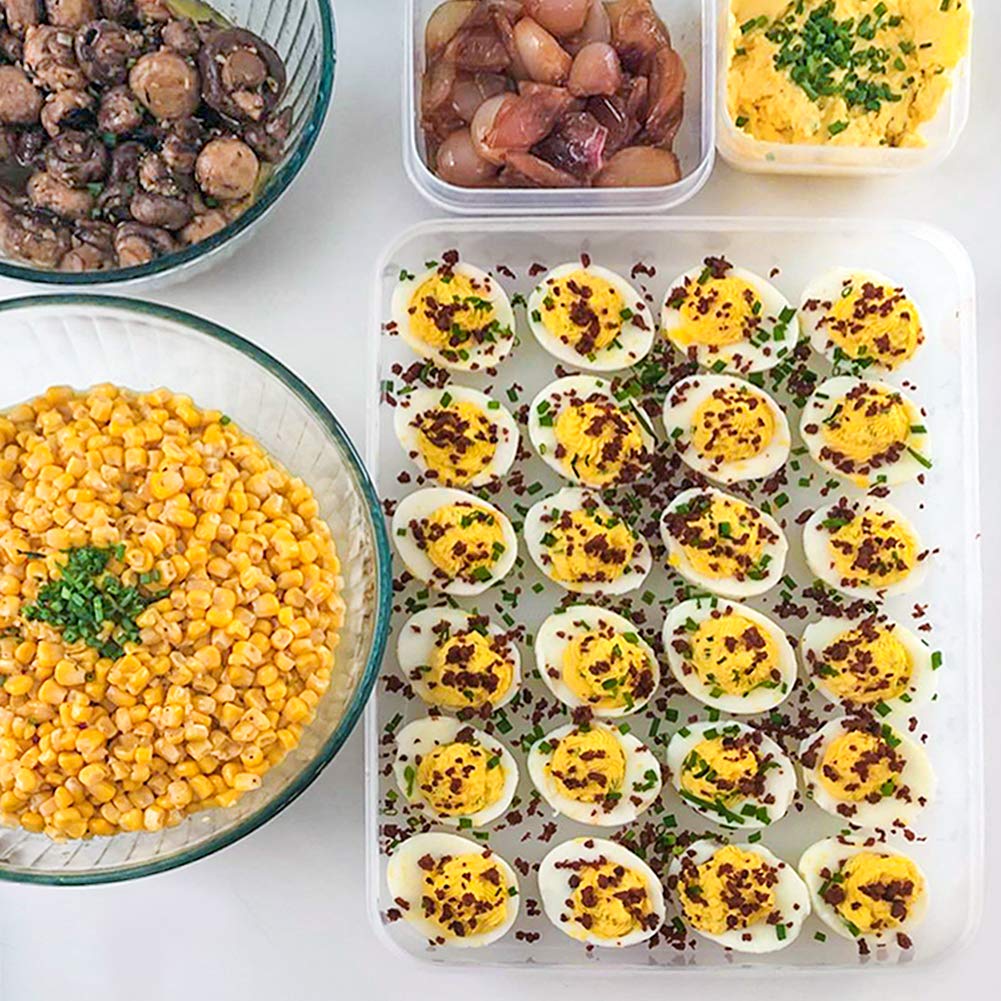 HANSGO Deviled Egg Containers with Lid, Deviled Egg Tray Holder Carrier with Lid for 24 Eggs for Home Party Kitchen Supplies Refrigerator Storage