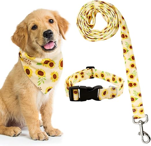 sunflower dog collar and leash