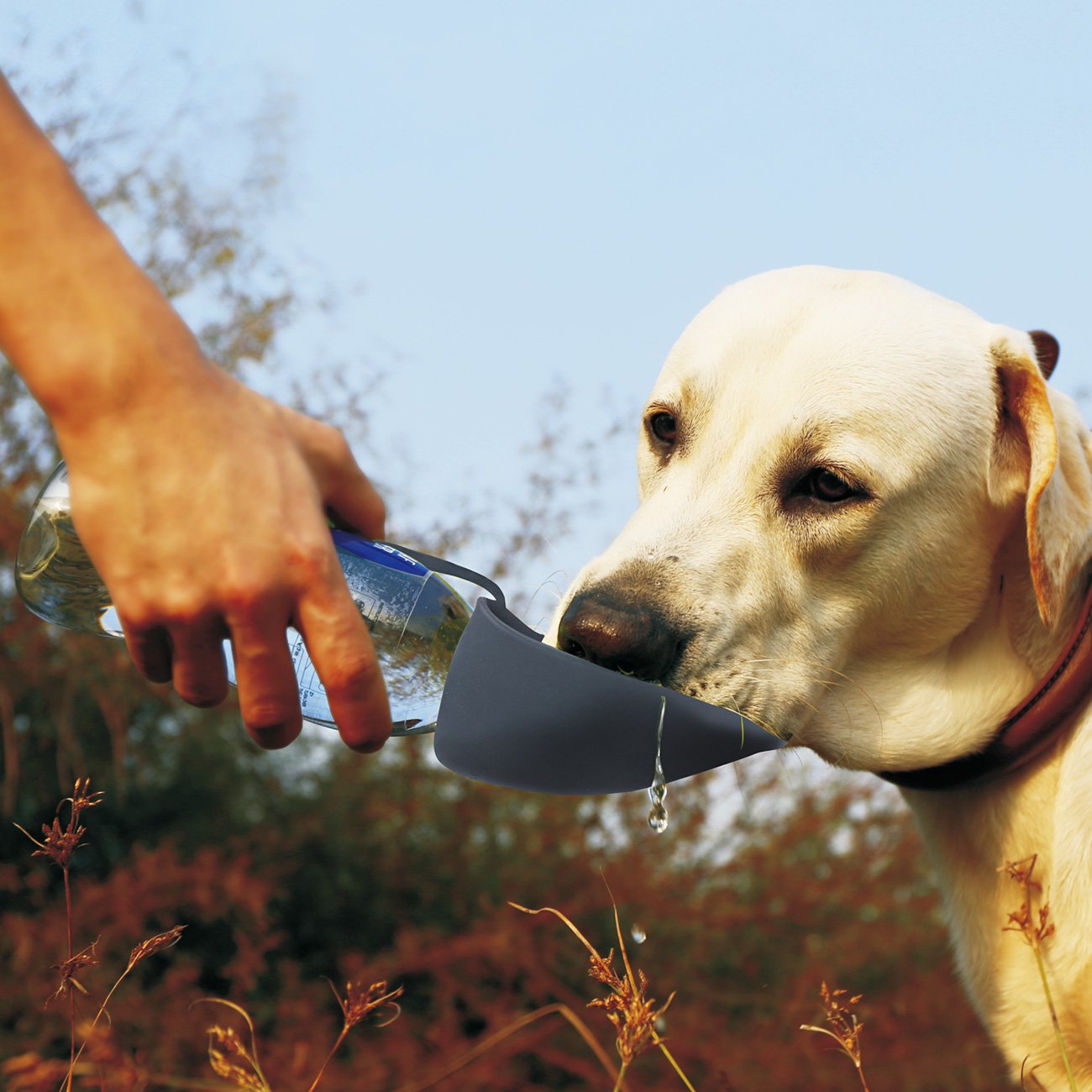 B0757k9mbc グレー Superdesign 犬用 ウォーターボトル 水やり器 ペットボトル 給水器 携帯ボトル お持ちやすい 水飲み 犬の訓練と散歩に使用 ペット専用自動給水器 その他 21年最新入荷 Nafusah Com