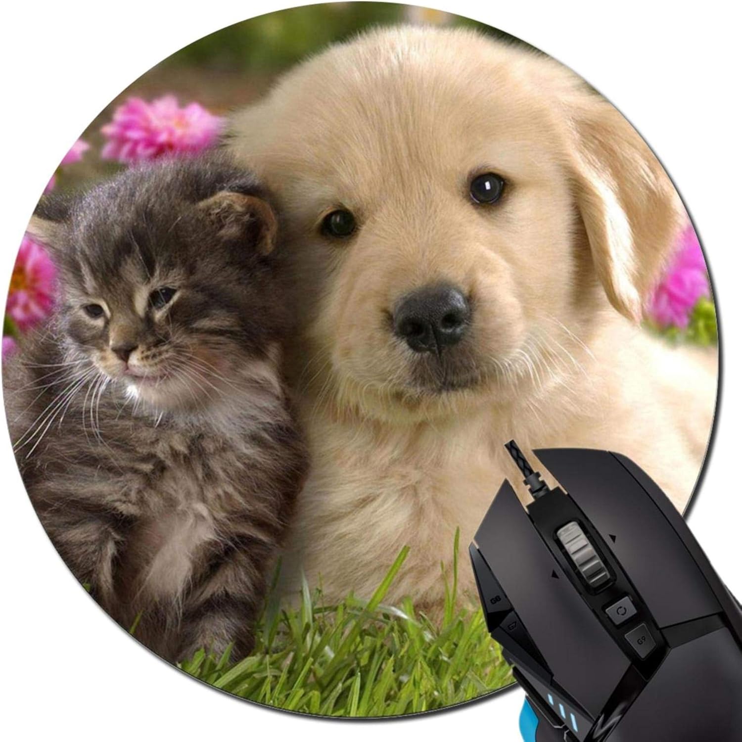 Best Giraffe Desk Calendar 2019