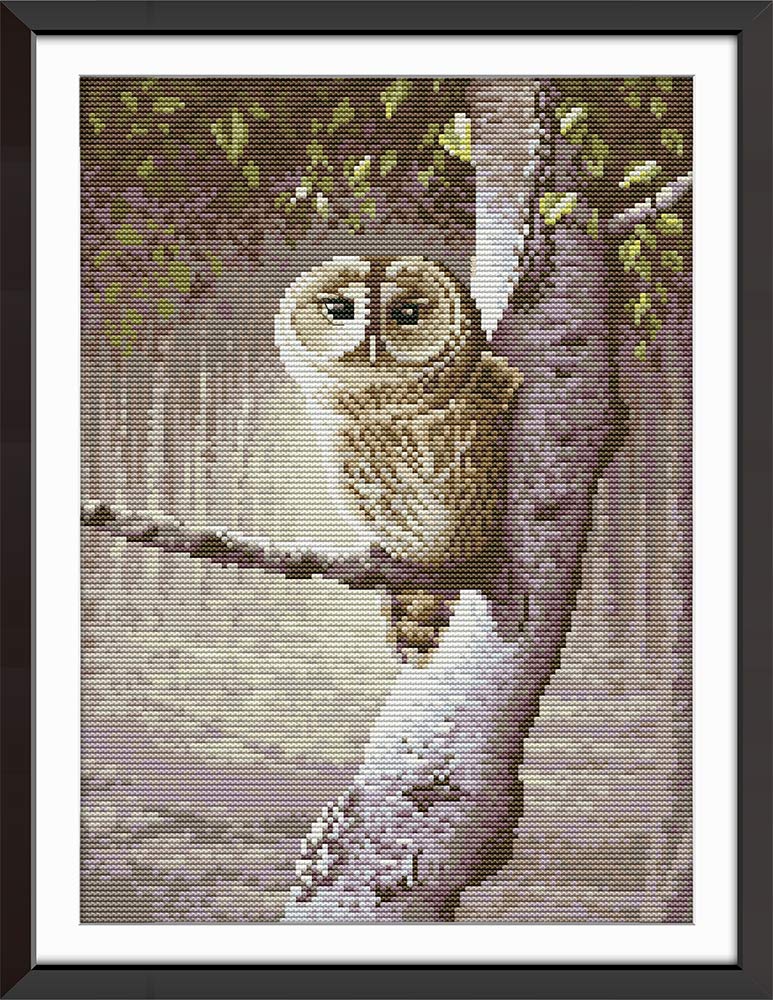 Cross Stitch Kits, Owl Animals Awesocrafts Easy Patterns Cross Stitching Embroidery Kit Supplies Christmas Gifts, Stamped (Owl, Stamped)