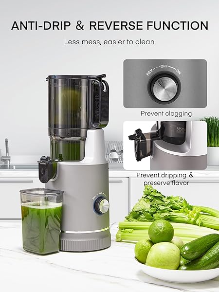 JUICER MACHINES, 5.4″ EXTRA LARGE FEED CHUTE FIT WHOLE FRUITS & VEGETABLES, SLOW MASTICATING COLD PRESS JUICER EASY TO CLEAN, 250W, HIGH JUICE YIELD