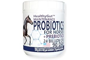 Equa Holistics HealthyGut™ Probiotics for Horses Dietary Supplement, All-Natural Digestive System Maintenance Formula (90 Day