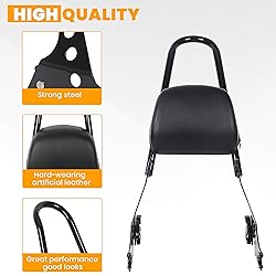 ECOTRIC Detachable Sissy Bar with Backrest