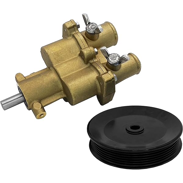 Amazon.com: A.A Water Pump Replacement 