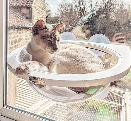 Pecute Hamac De Fenetre Pour Chat Suspendus Lit De Chat Supporter Jusqu A 10 Kg Avec 4 Ventouse Detachable Amazon Fr Animalerie