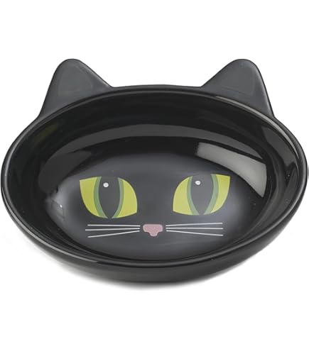 Cat Print Pet Dish With Fish Bone Design | Fun Feeding Bowls For Cats & Kittens