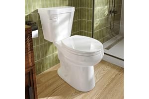 HOROW 17 Inch Tall Toilet, Two-Piece Round Toilet with ADA Comfort Chair Height Seat, Powerful 1.28 GPF Single Flush Bowl for Bathroom, 12" Rough In High for Seniors, White