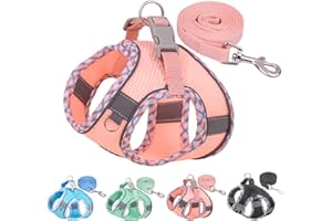 HPETHF Dog Harness for Small Dogs Leashes Set,Soft No Pull Adjustable Breathable Mesh Leash and Harness Vest Belt for Puppy,S