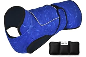 LUCOLOVE Dog Cooling Vest with Ice Pack – 2-Layer Evaporative Cooling Jacket with High Collar, UV Protection & Size-Matched Ice Pack – Cooling Vest for Dogs for Hot Weather (Blue Aqua, Small)
