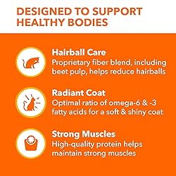 IAMS Proactive Health Adult Hairball Care Dry Cat