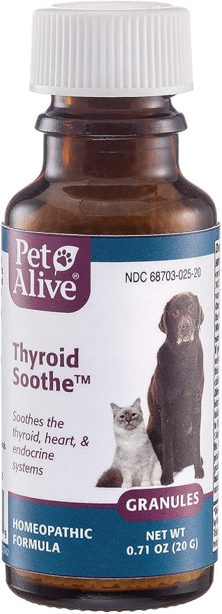 overactive thyroid in dogs