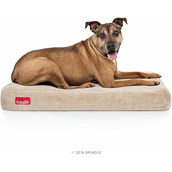 Brindle 4 inch Memory Foam Orthopedic Dog Bed - Removable Velour Cover with Waterproof Liner