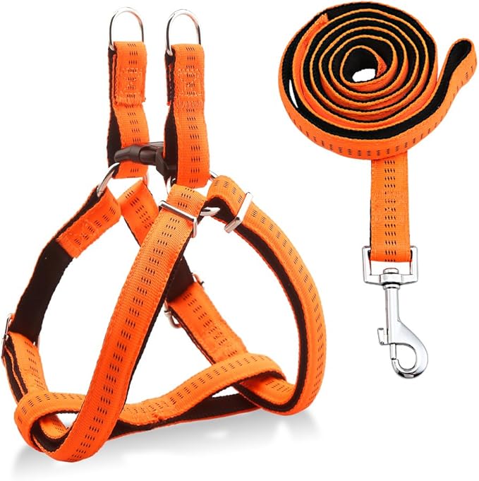Adjustable dog harness amazon Clearance