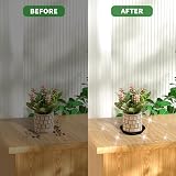 Kunjocy 5 Pack Black Plant Pot Saucers 11 cm Round Trays Up to 8 cm Pots view 6