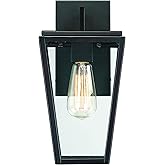 Savoy House 5-546-13 Milton Modern Clear Glass Outdoor Wall Lantern, 1-Light 60 Watt, 13" H x 7" W, English Bronze