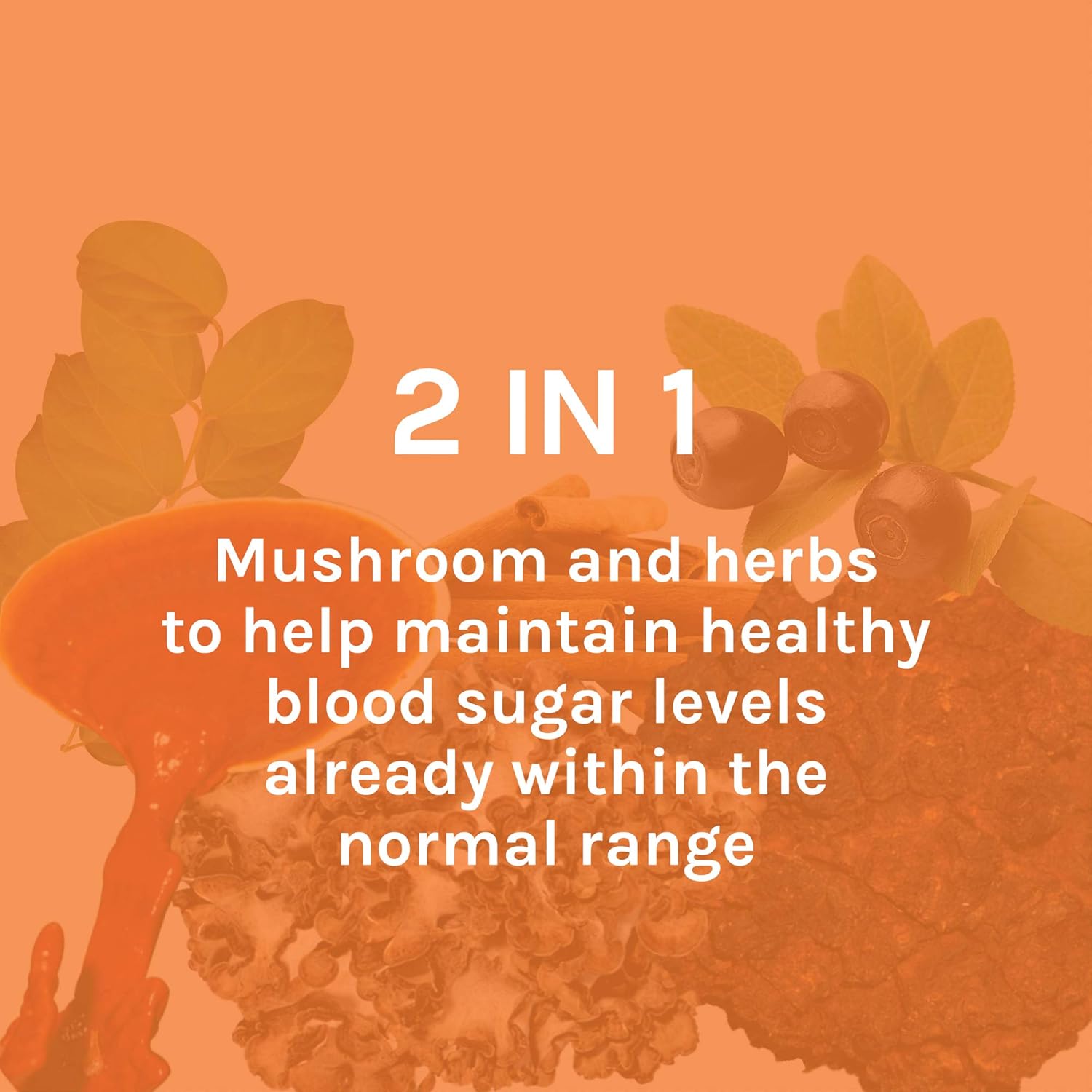 Host Defense, MycoBotanicals Blood Sugar, Maintaining Blood Sugar Levels Already Within Normal Range, Daily Mushrooms and Herb Supplement, Vegan, Organic, 60 Capsules (30 Servings): Health & Personal Care