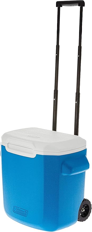 wine cooler bucket argos