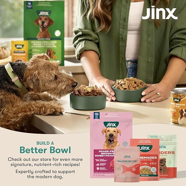 JINX PREMIUM FREEZE-DRIED DOG FOOD TOPPERS, CHICKEN ON TOP – HEALTHY & NATURAL MEAL TOPPERS FOR DOGS WITH REAL CHICKEN WITH REAL INGREDIENTS & NO FILLERS – PET PRODUCTS FOR ALL LIFESTAGES – 3OZ