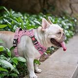 PoyPet No Pull Dog Harness Release on Neck Reflective Adjustable Pink L view 3