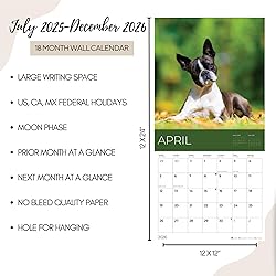 July 2025- December 2026 Wall Calendar 18 Month