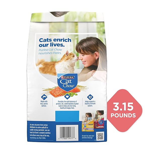PURINA CAT CHOW COMPLETE HIGH PROTEIN DRY CAT FOOD WITH REAL SALMON – (PACK OF 4) 3.15 LB. BAGS