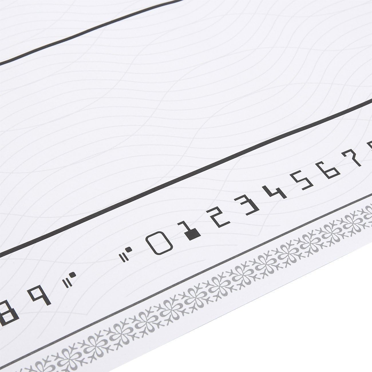 Blue Panda Giant Checks - 5-Count Paper Giant Fake Novelty Checks, Large Presentation Checks for Endowment Award, Donations, and Fundraisers, Each Big Check Measures 30 x 16 Inches : Office Products